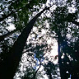 Meet your Posher, Cosmina